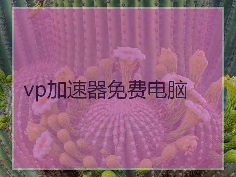 vp加速器免费电脑