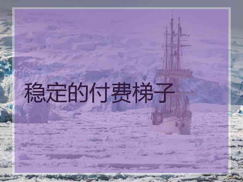 稳定的付费梯子