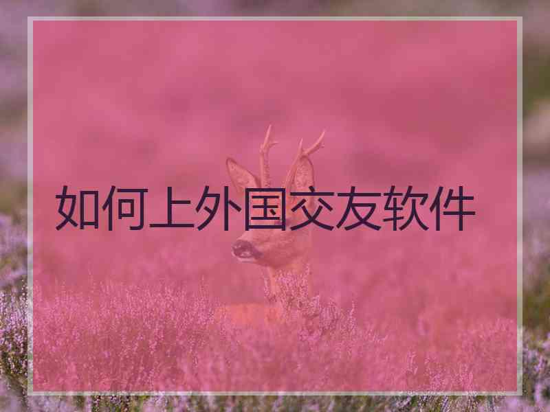 如何上外国交友软件