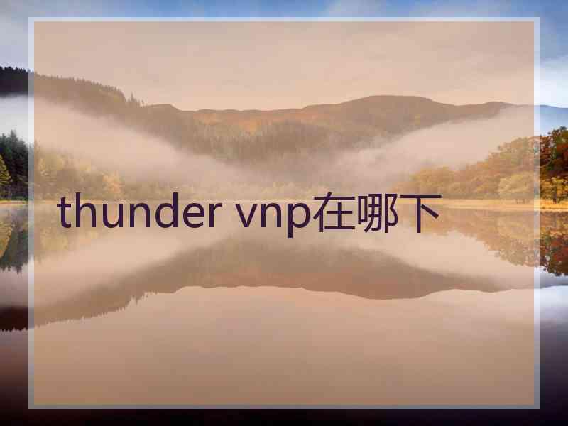 thunder vnp在哪下