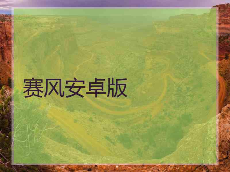 赛风安卓版