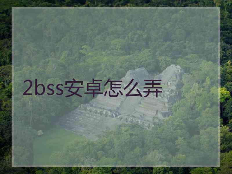 2bss安卓怎么弄