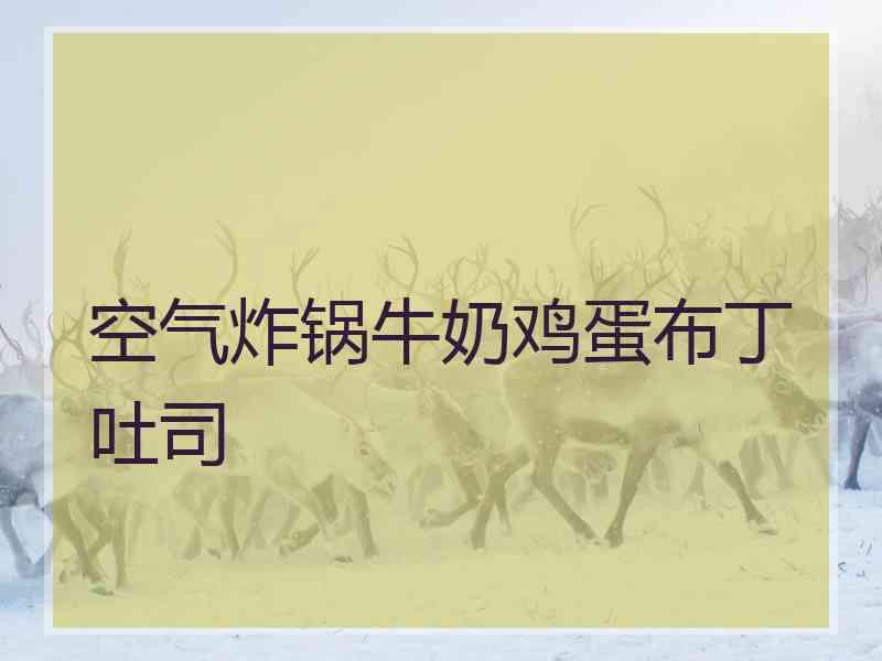 空气炸锅牛奶鸡蛋布丁吐司