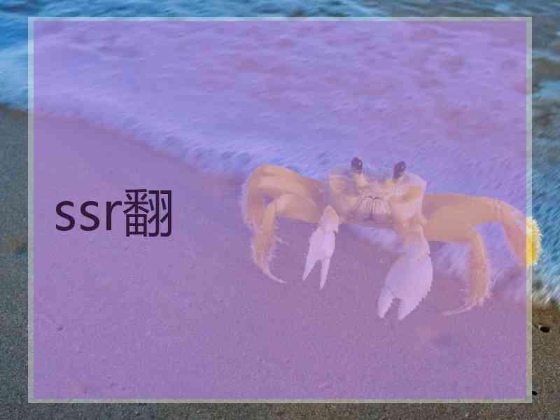 ssr翻