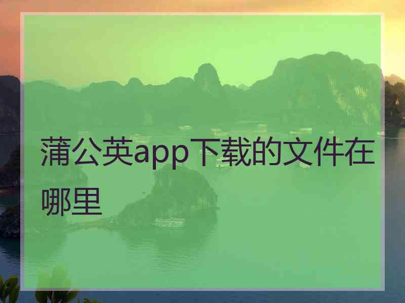 蒲公英app下载的文件在哪里
