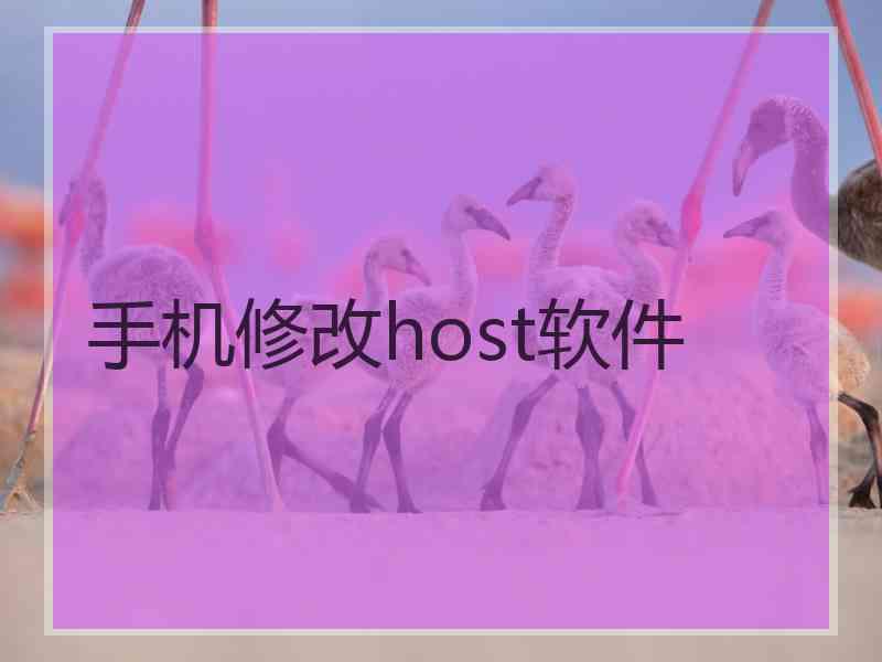 手机修改host软件