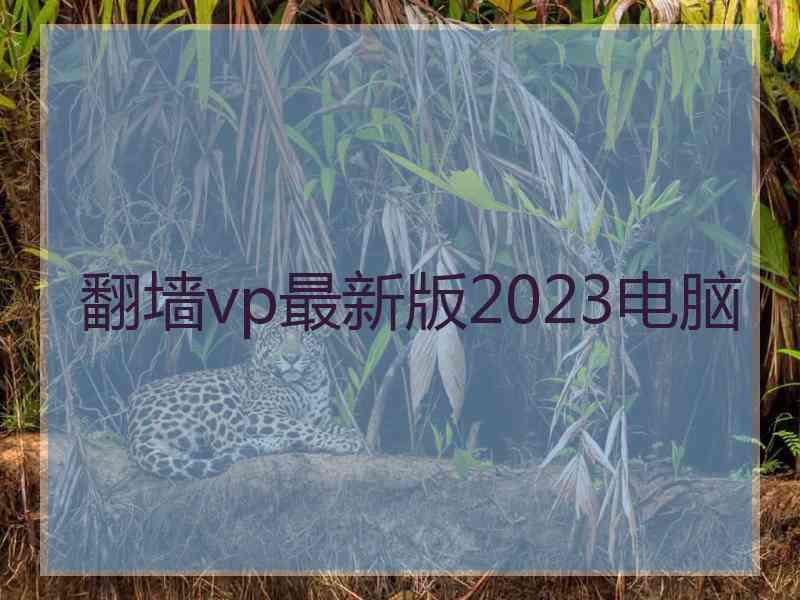 翻墙vp最新版2023电脑