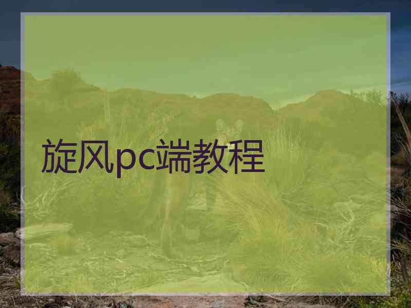 旋风pc端教程