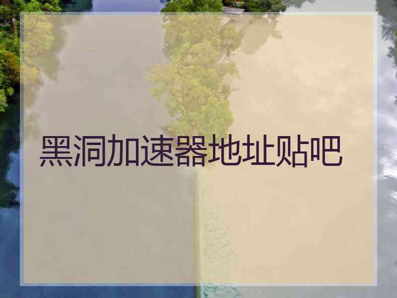 黑洞加速器地址贴吧