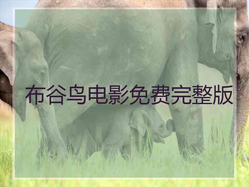布谷鸟电影免费完整版