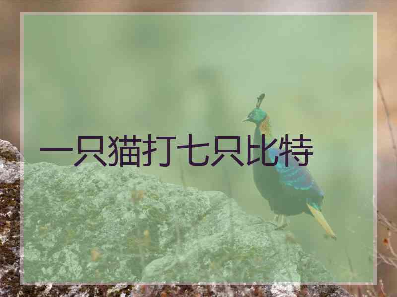 一只猫打七只比特