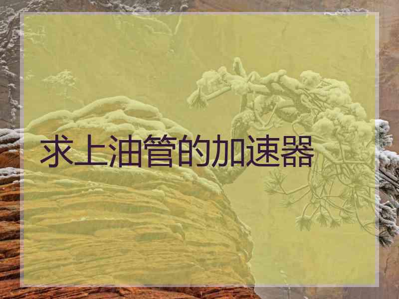 求上油管的加速器