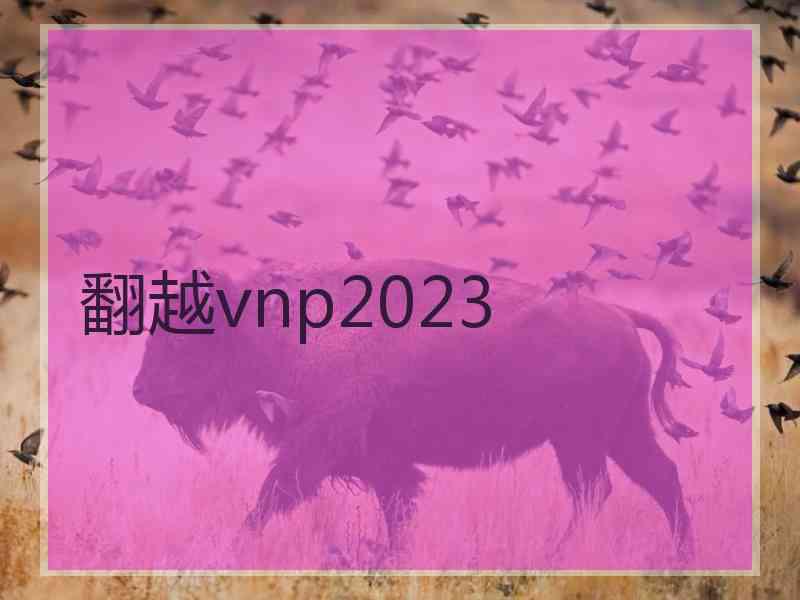 翻越vnp2023