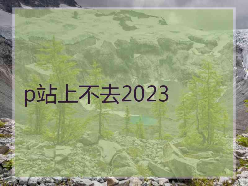 p站上不去2023