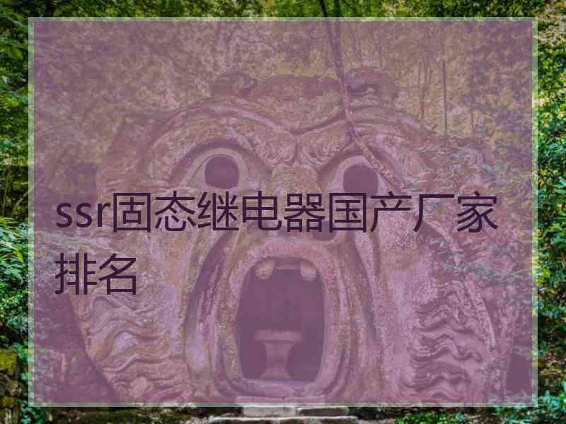 ssr固态继电器国产厂家排名