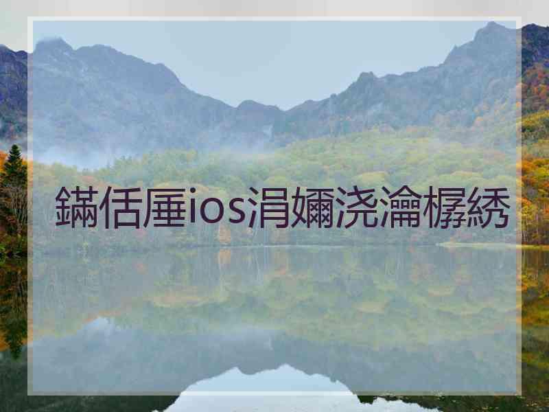 鏋佸厜ios涓嬭浇瀹樼綉