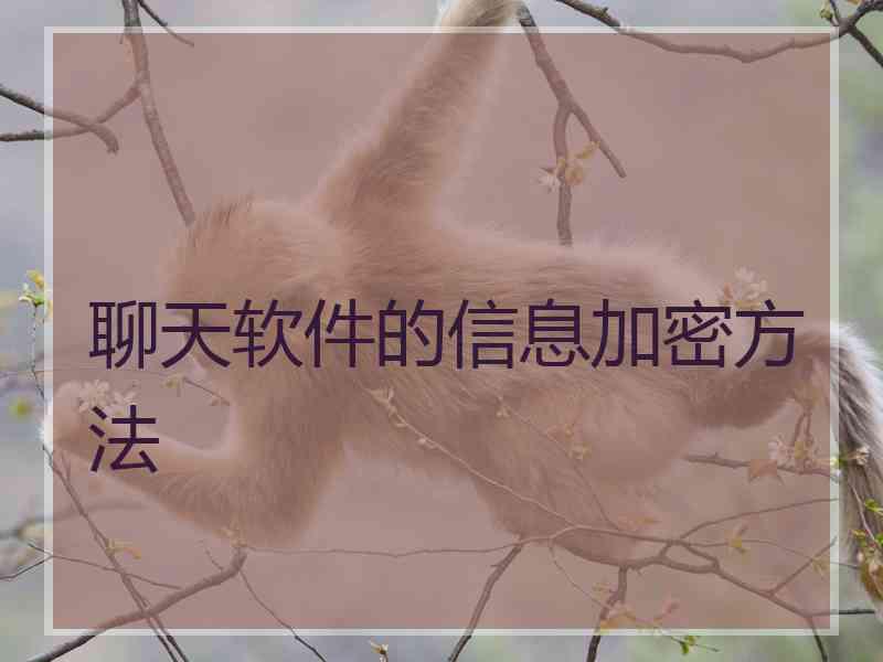 聊天软件的信息加密方法