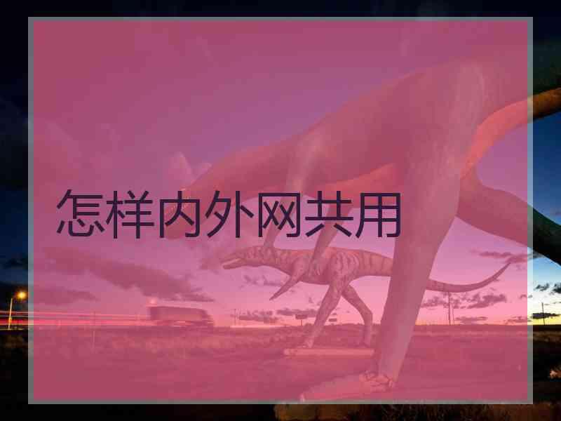 怎样内外网共用