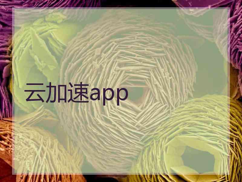 云加速app