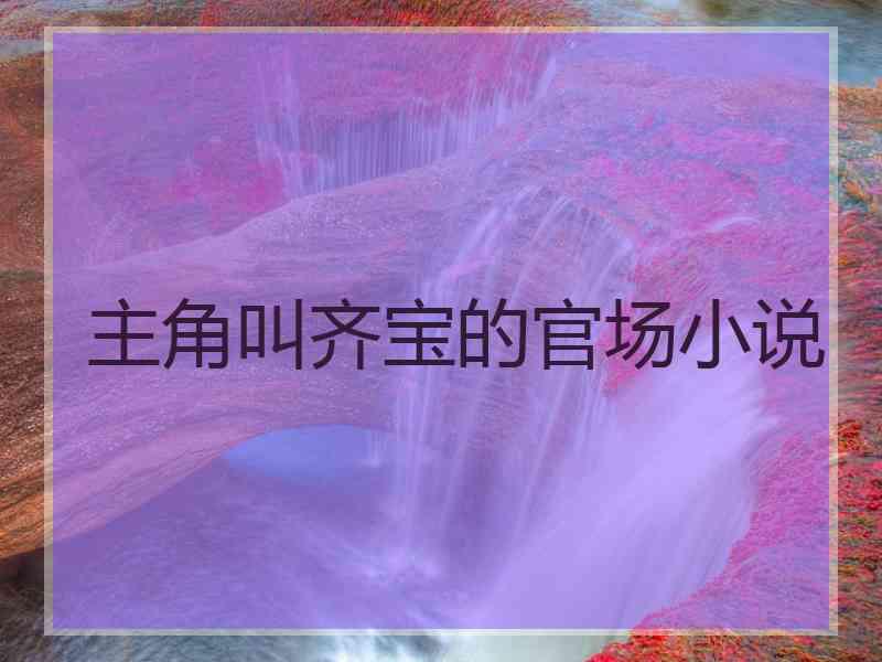 主角叫齐宝的官场小说