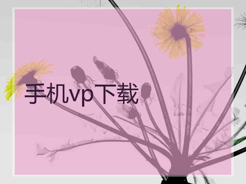 手机vp下载