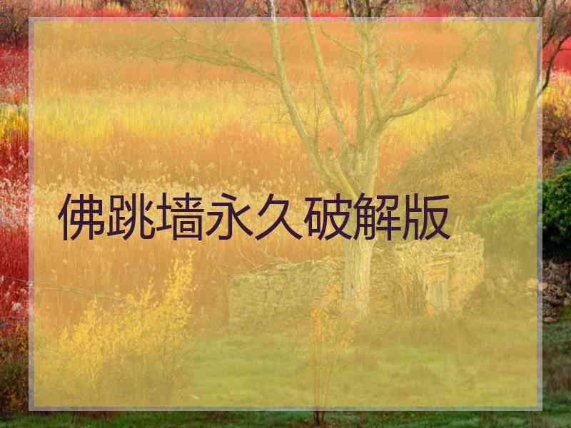 佛跳墙永久破解版