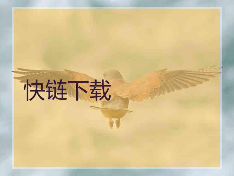 快链下载