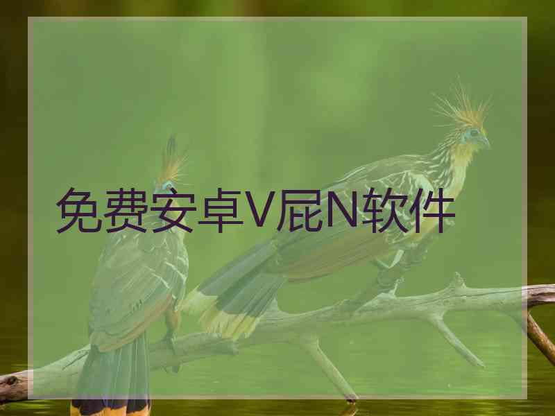 免费安卓V屁N软件