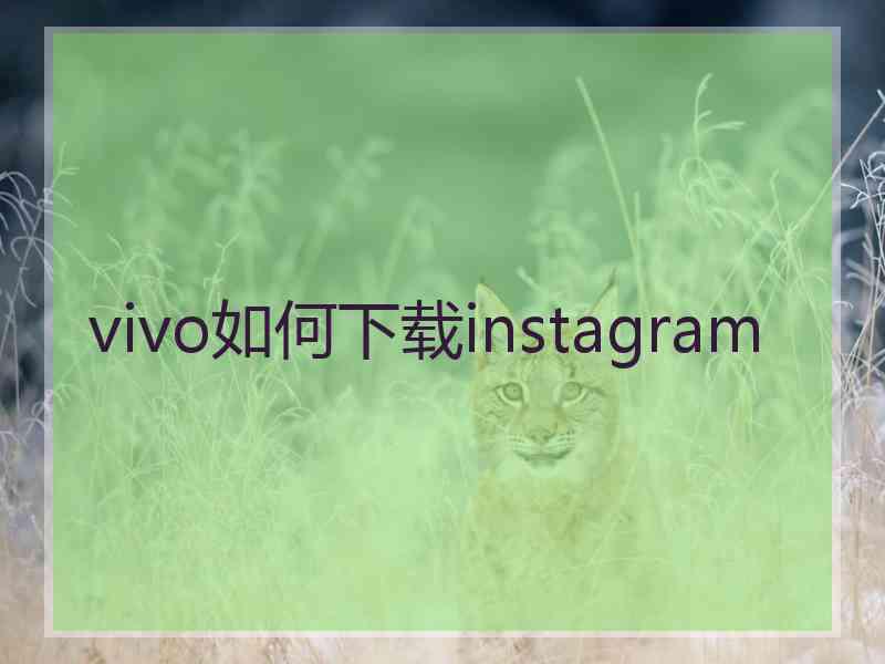vivo如何下载instagram