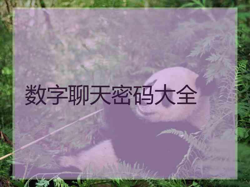 数字聊天密码大全