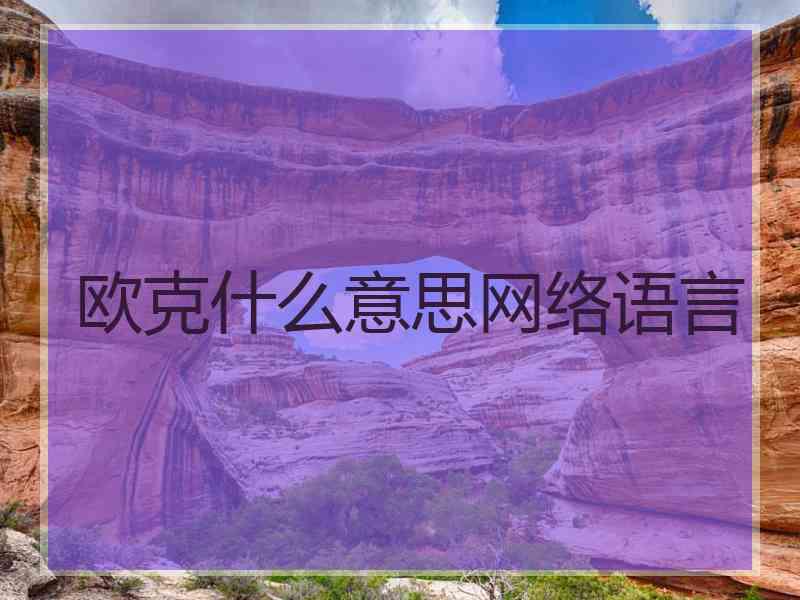 欧克什么意思网络语言