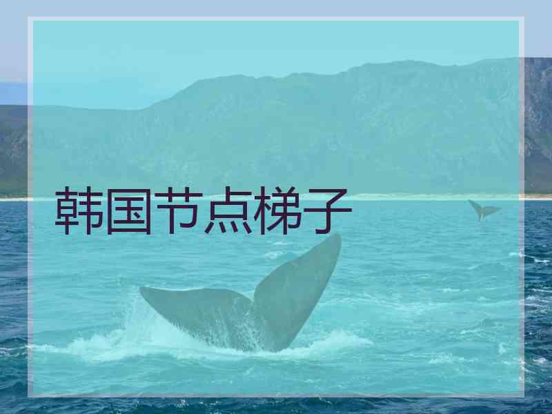 韩国节点梯子