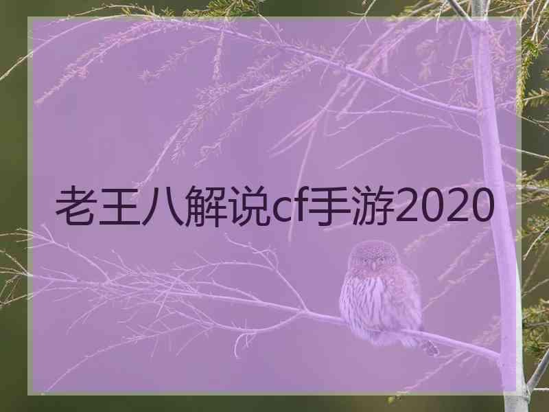 老王八解说cf手游2020