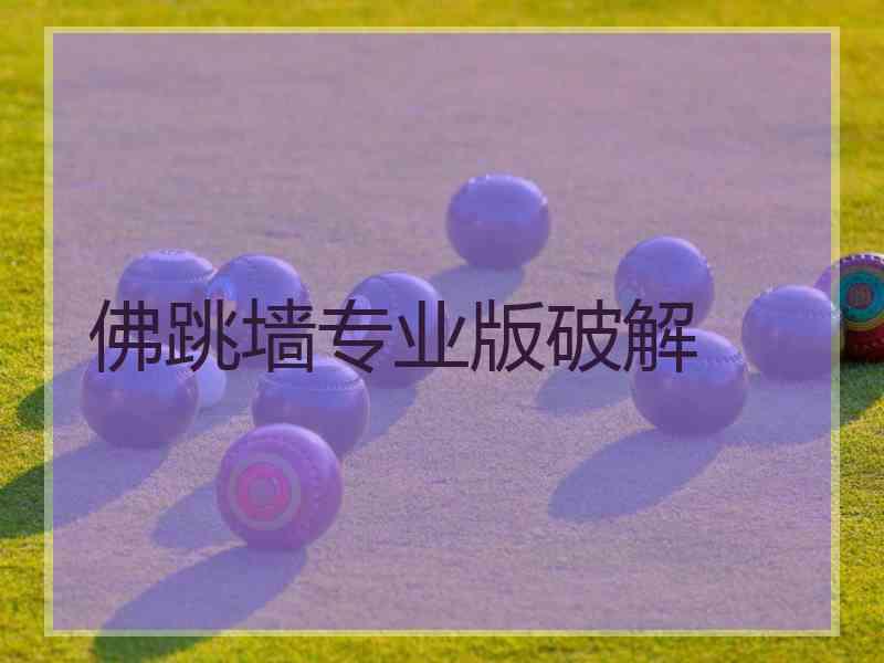 佛跳墙专业版破解