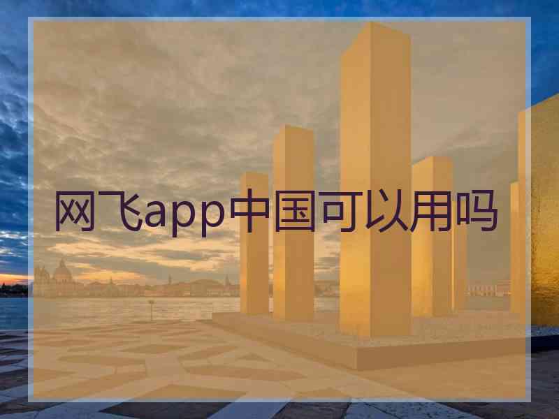 网飞app中国可以用吗