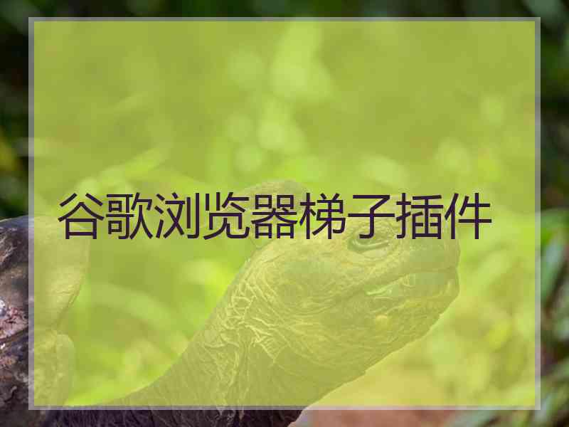 谷歌浏览器梯子插件