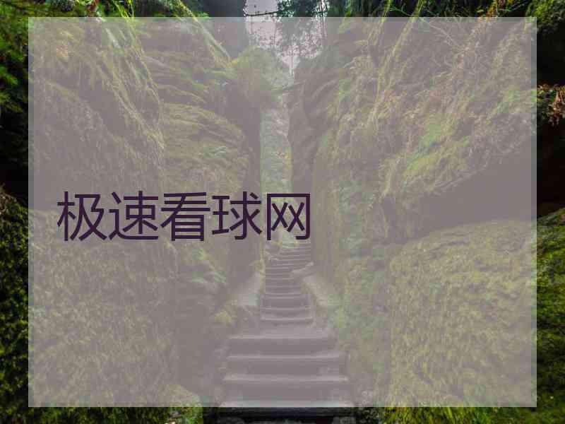 极速看球网