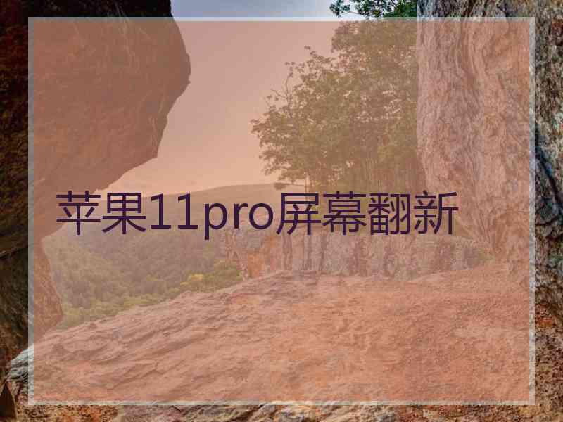 苹果11pro屏幕翻新
