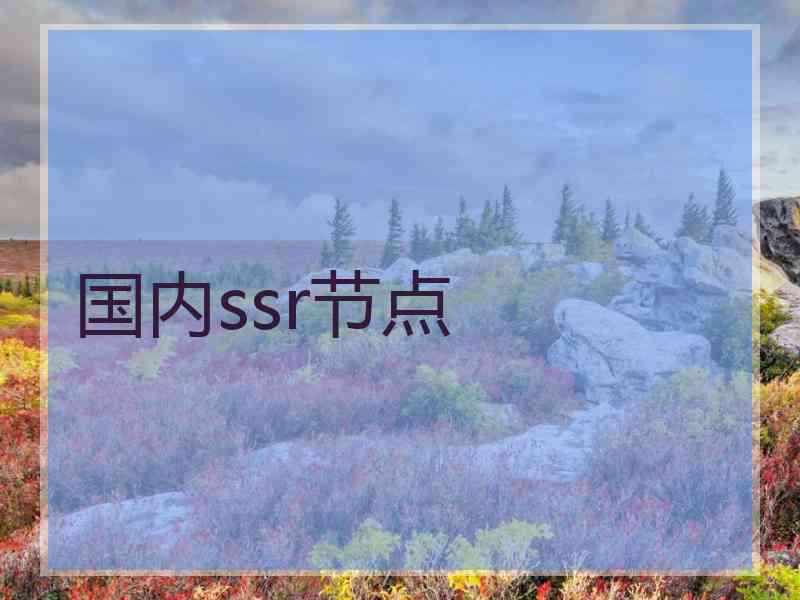 国内ssr节点