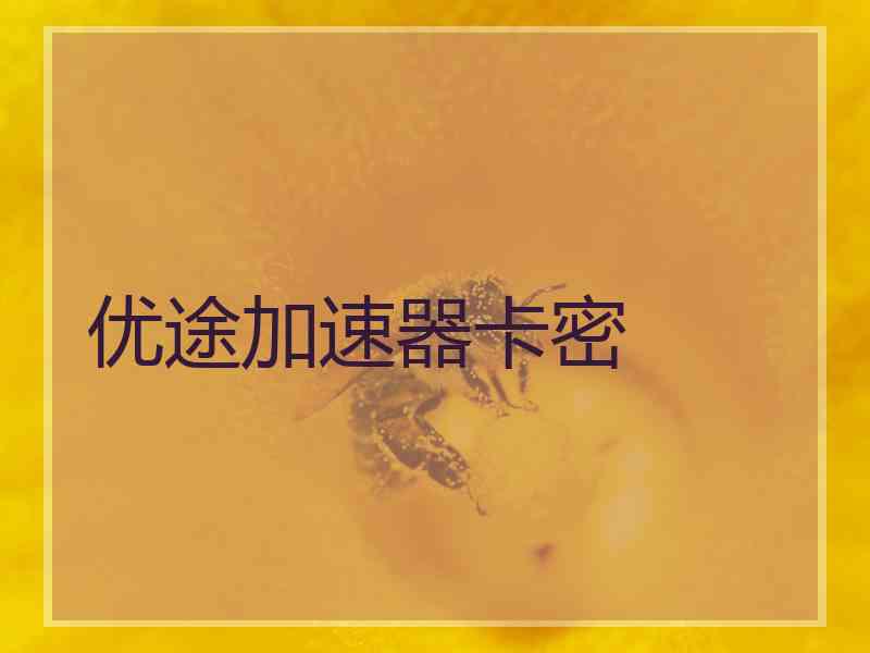 优途加速器卡密