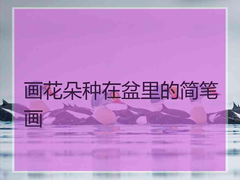 画花朵种在盆里的简笔画