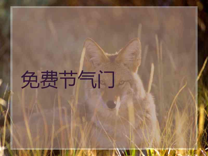 免费节气门