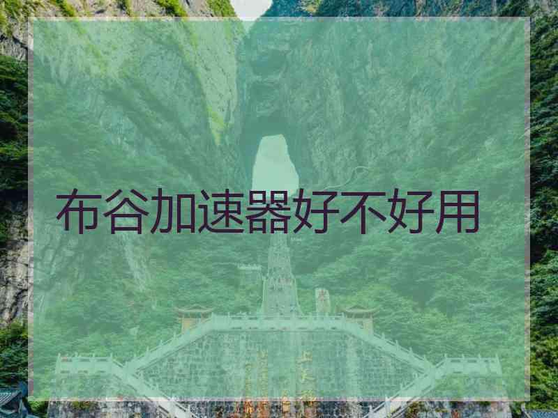 布谷加速器好不好用