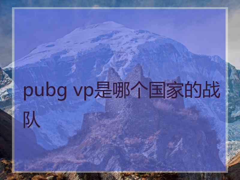 pubg vp是哪个国家的战队