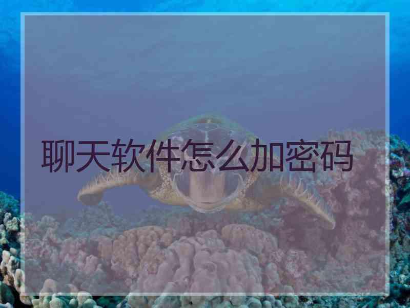 聊天软件怎么加密码
