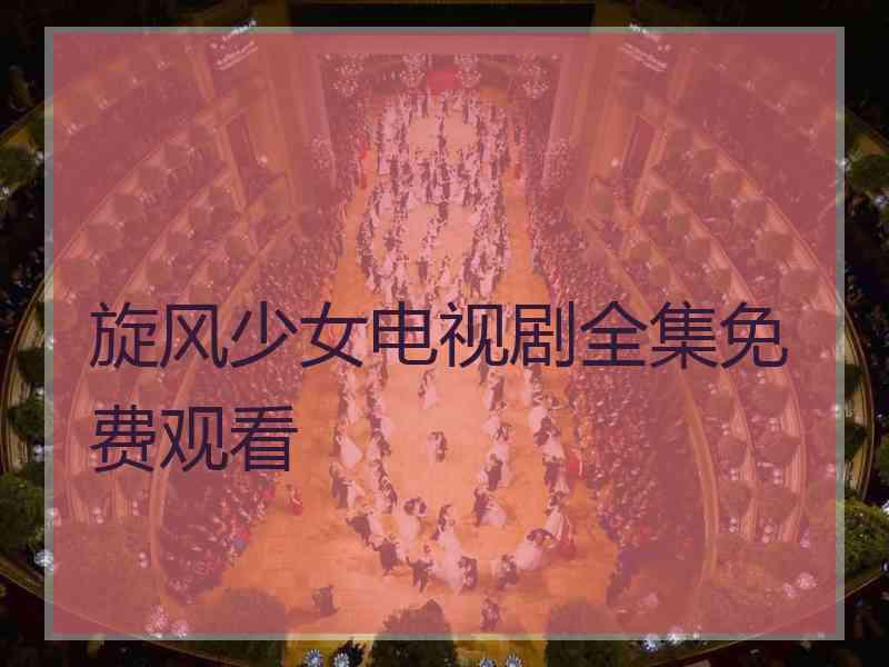 旋风少女电视剧全集免费观看