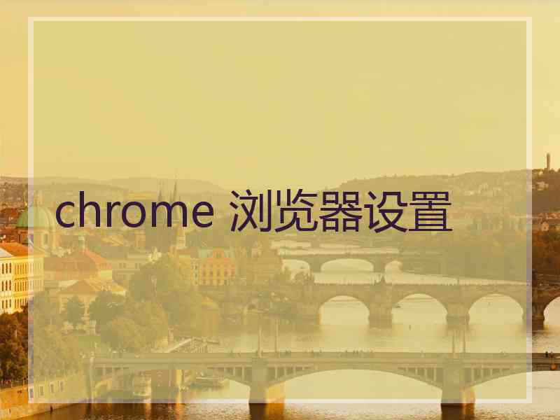 chrome 浏览器设置