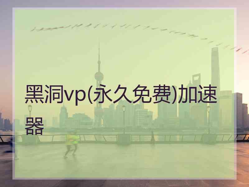 黑洞vp(永久免费)加速器