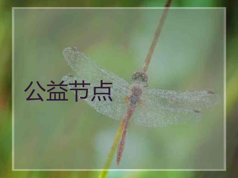公益节点