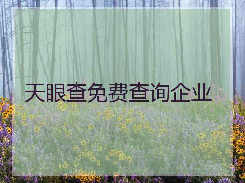 天眼查免费查询企业